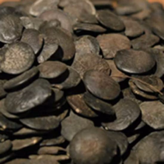 Extrato de ervas nutricionais 95% ~ 99% 5