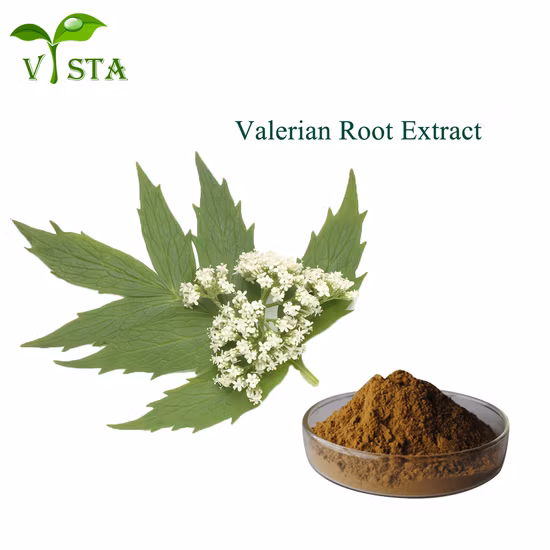 Melhore o extrato de raiz de valeriana do sono 0,2% ~ 0,8% de ácido valeriânico