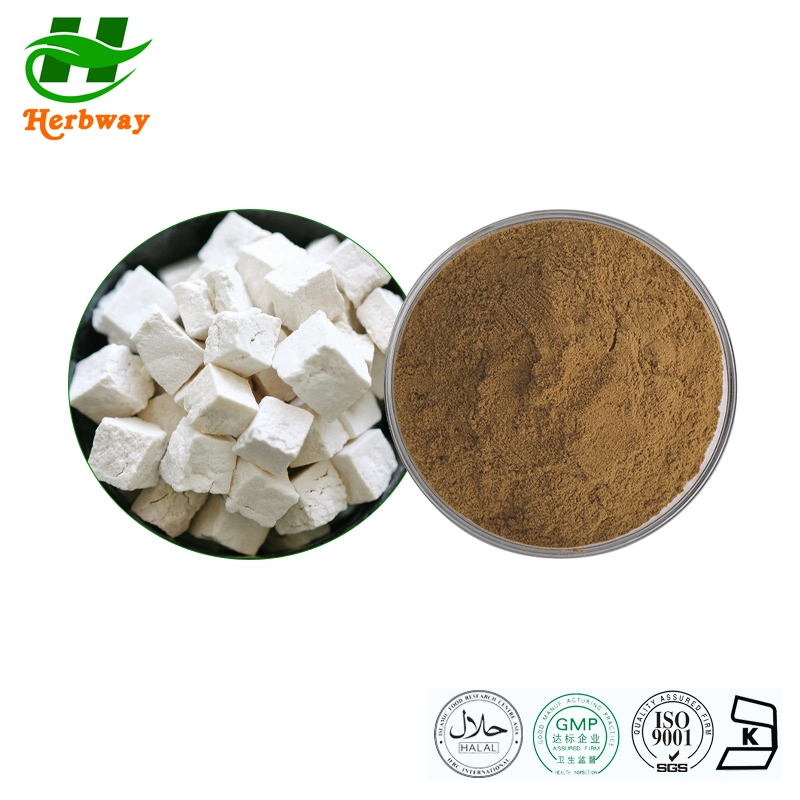 Herbway Free Sample Polysaccharide Anti-Inflammatory Pharmaceutical Poria Cocos Extract