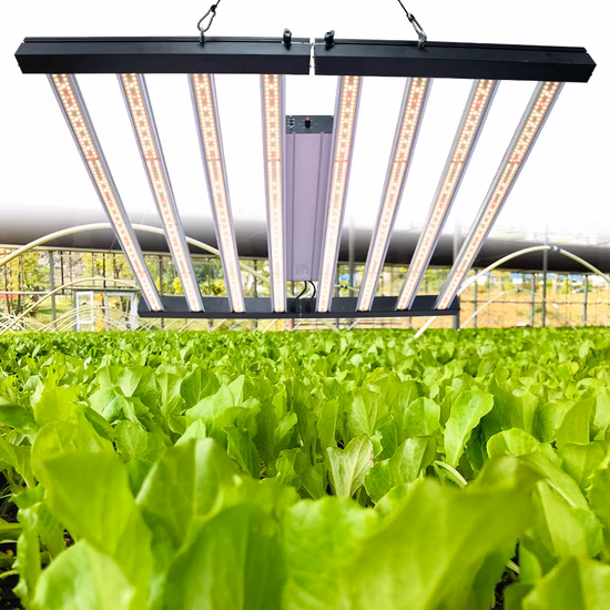 Plantas Médicas Cultivo Interior Alta Ppfd 1000W 8000W 680W Espectro Completo LED Cresce Luz para Florescer Vegetais Flor