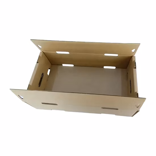 Logotipo da marca personalizada impressa embalagem de maçãs frutas frescas caixa de papel ondulado embalagem bandeja de mercado de frutas e vegetais de abacate